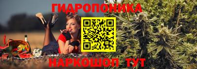apvp Рузаевка