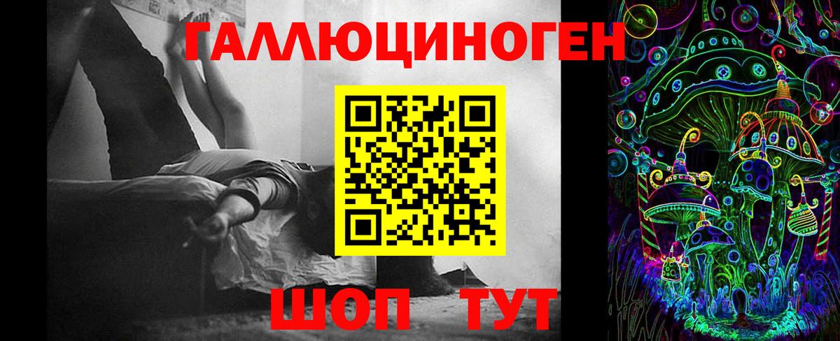 Новодвинск  Псилоцибиновые грибы мицелий  Вход с VPN 